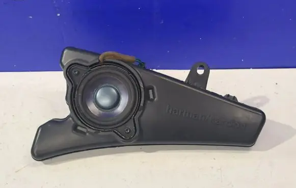 Mercedes-Benz R W251 Panel speaker A2518200302