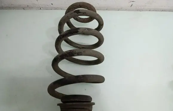 Rear coil spring