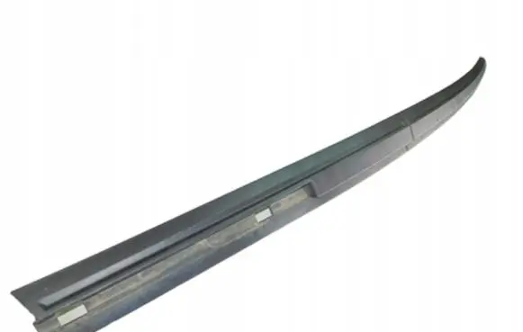 Chrysler Pacifica Front door trim (molding)