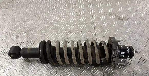 Rear shock absorber/damper