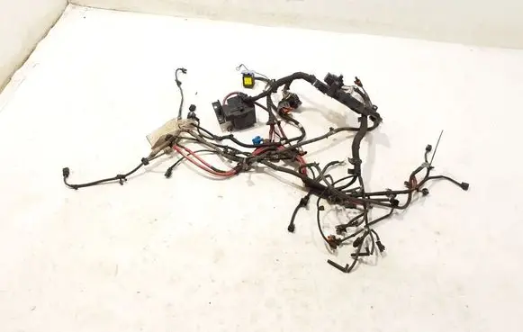 Engine installation wiring loom