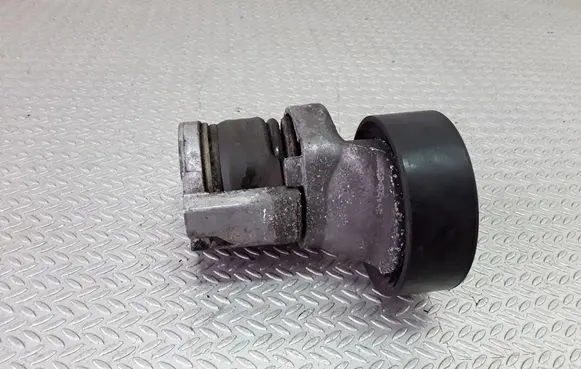 Audi A4 S4 B7 8E 8H Generator/alternator belt tensioner