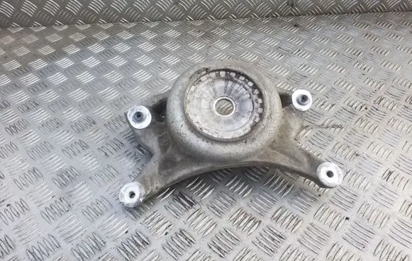 Coil spring mount