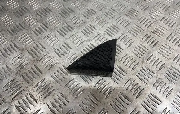 Front door high frequency speaker