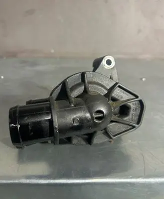 Thermostat/thermostat housing
