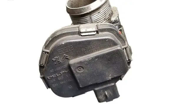 Ford Fiesta Throttle valve 9673534480 28275019