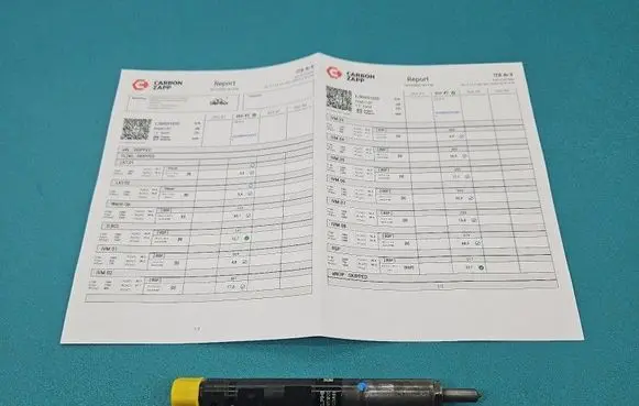 Renault Twingo II Fuel injector EJBR05102D IMPRK1531614