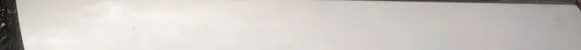 Nissan Primera Rear door glass trim molding