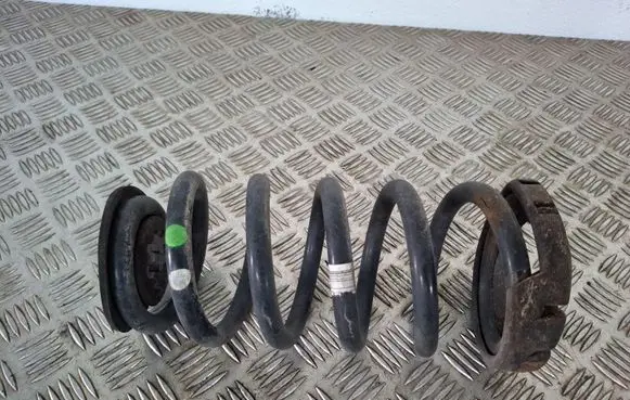 Opel Insignia A Rear coil spring