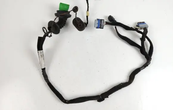 Rear door wiring loom