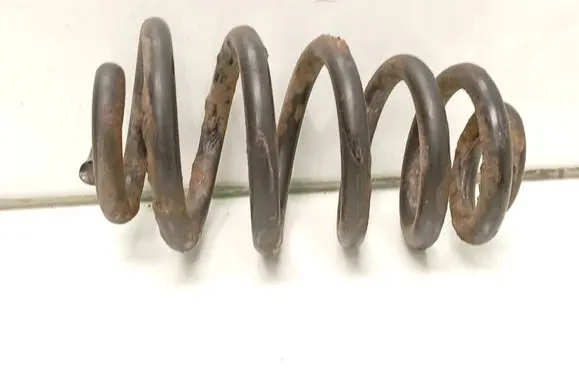 Rear coil spring
