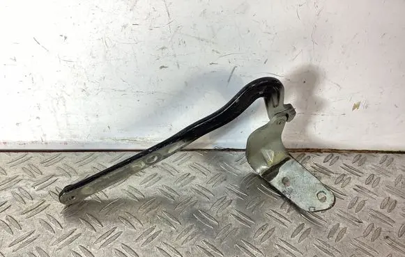 Porsche Cayman 987 Tailgate/trunk/boot hinge SAGSG3 98751215201
