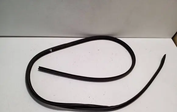 Peugeot Expert Front door rubber seal 