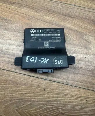 Volkswagen PASSAT B6 Gateway control module 3C0907530C 3C0907951A