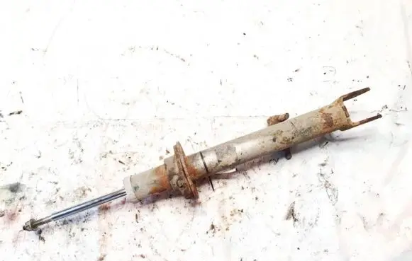 Dodge Magnum Front shock absorber/damper
