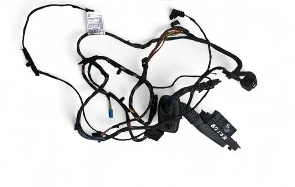 BMW X5 E70 Front door wiring loom 9187998 9229762