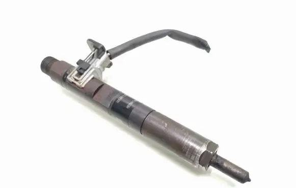 Renault Kangoo II Fuel injector 166001137R H8200421897 28232251