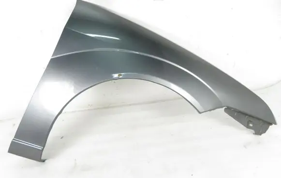Ford Focus Fender