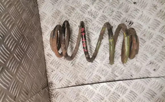 Opel Zafira B Rear coil spring