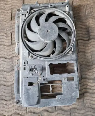 Citroen Berlingo Electric radiator cooling fan 9646656480 8240406