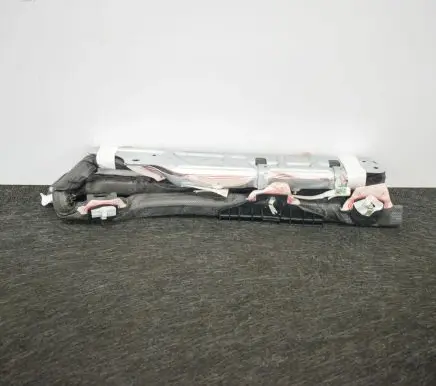 Ford Fiesta Roof airbag