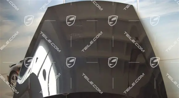 Porsche Cayenne (9PA) Engine bonnet/hood 95551101100GRV