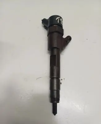 Renault Scenic II - Grand scenic II Fuel injector 0445110110B