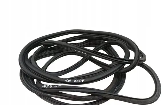 Volkswagen Jetta VI Rubber seal front door (on door) 