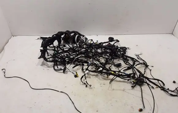 Dacia Sandero III Other wiring loom 2401108719R
