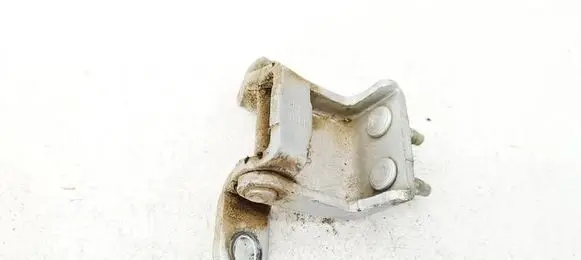Tailgate/trunk/boot hinge