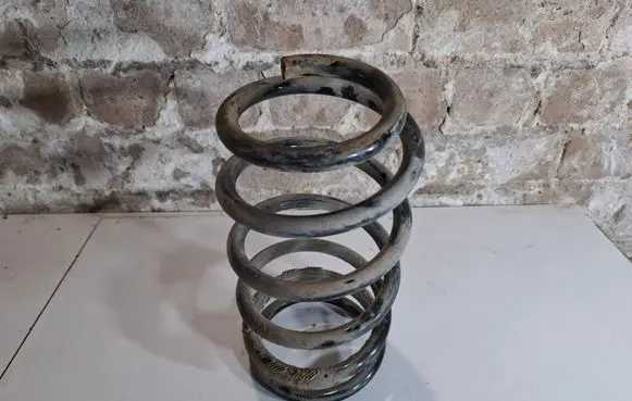 Rear coil spring