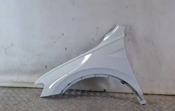 Volkswagen Tiguan Fender 5NA821105B