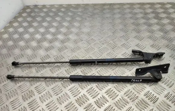 Citroen C4 Cactus Tailgate/trunk strut/damper 9813913880
