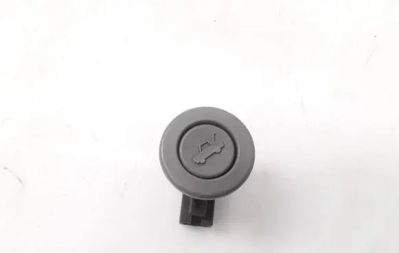 Suzuki Forenza Tailgate opening switch 