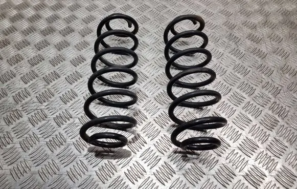 Volkswagen Golf Plus Rear coil spring 