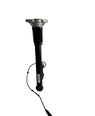 Mercedes-Benz GLS X167 Rear shock absorber/damper A1673200305 2102CC0014453 F48L3N003V10