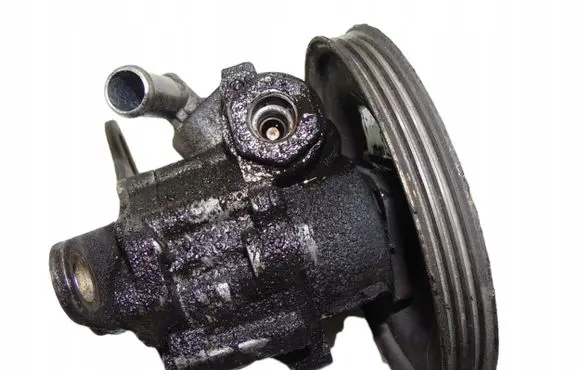 Fiat Punto (176) Power steering pump