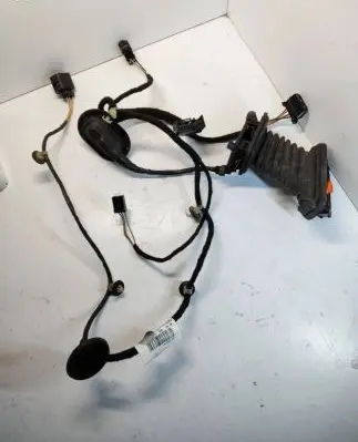 Volkswagen PASSAT B7 Rear door wiring loom 3AA971693CB