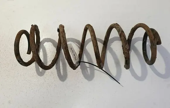 Rear coil spring