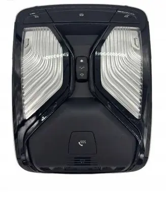BMW 3 G20 G21 Headlining lighting console trim 5B6C612
