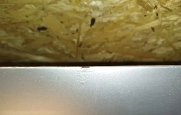 Volkswagen Multivan T5 Engine bonnet/hood
