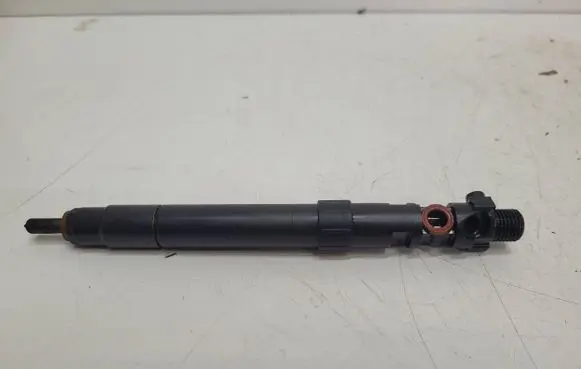 Peugeot Expert Fuel injector 9686191080 4P5A4T 92NAM8J