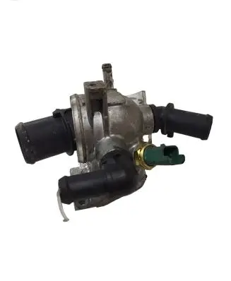 Thermostat/thermostat housing