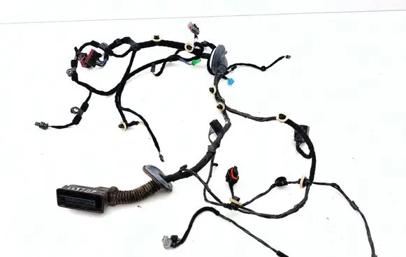 Jaguar F-Pace Front door wiring loom JK8314631DAB