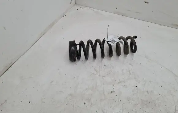 BMW 3 GT F34 Rear coil spring