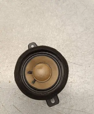 Opel Insignia B Panel speaker 13240967 1267 654558089