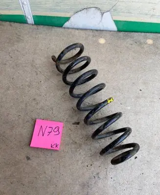 Renault Scenic I Front coil spring