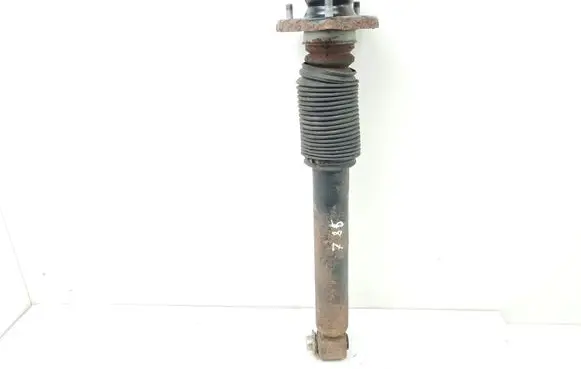 BMW X5 E53 Rear shock absorber/damper