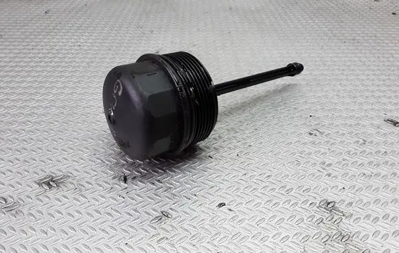 Volkswagen Golf IV Oil filter cover 038115433