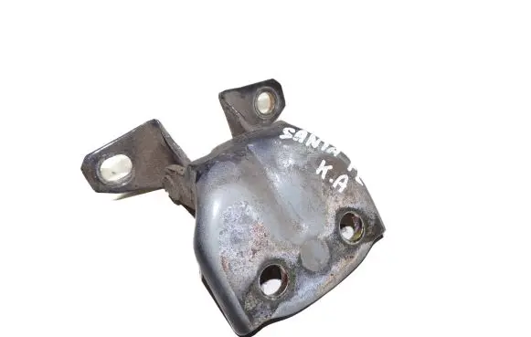 Hyundai Santa Fe Rear door lower hinge